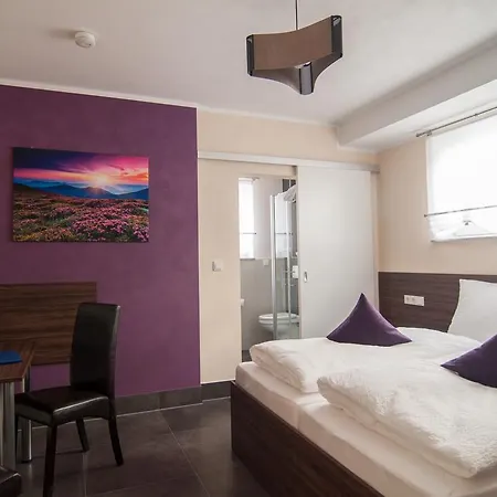 Affittacamere Komfortable Apartment-wohnung Fulda